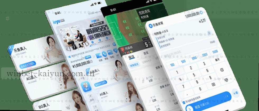隐私政策与用户权益说明